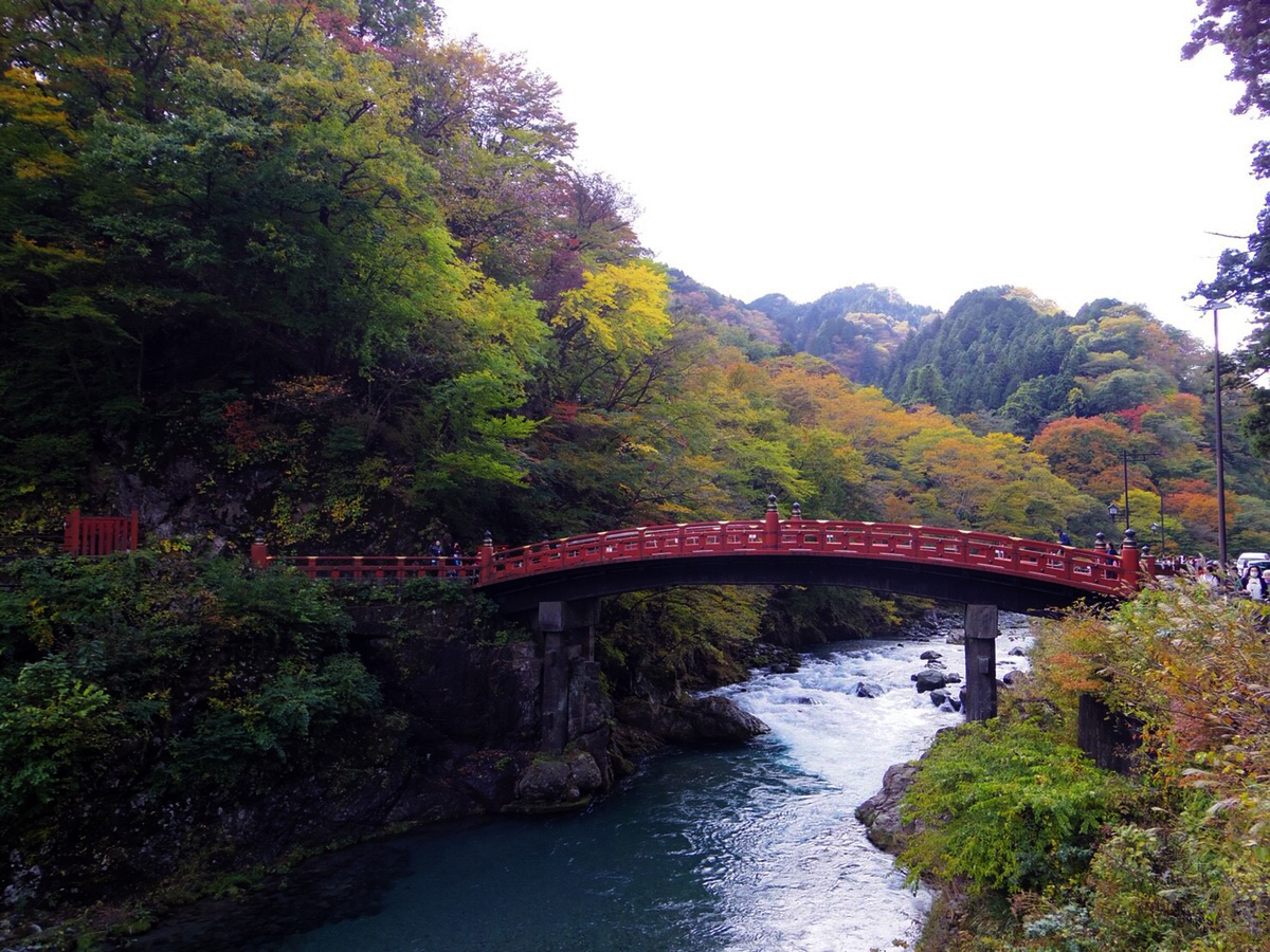 【スタッフブログ】紅葉シーズン到来！