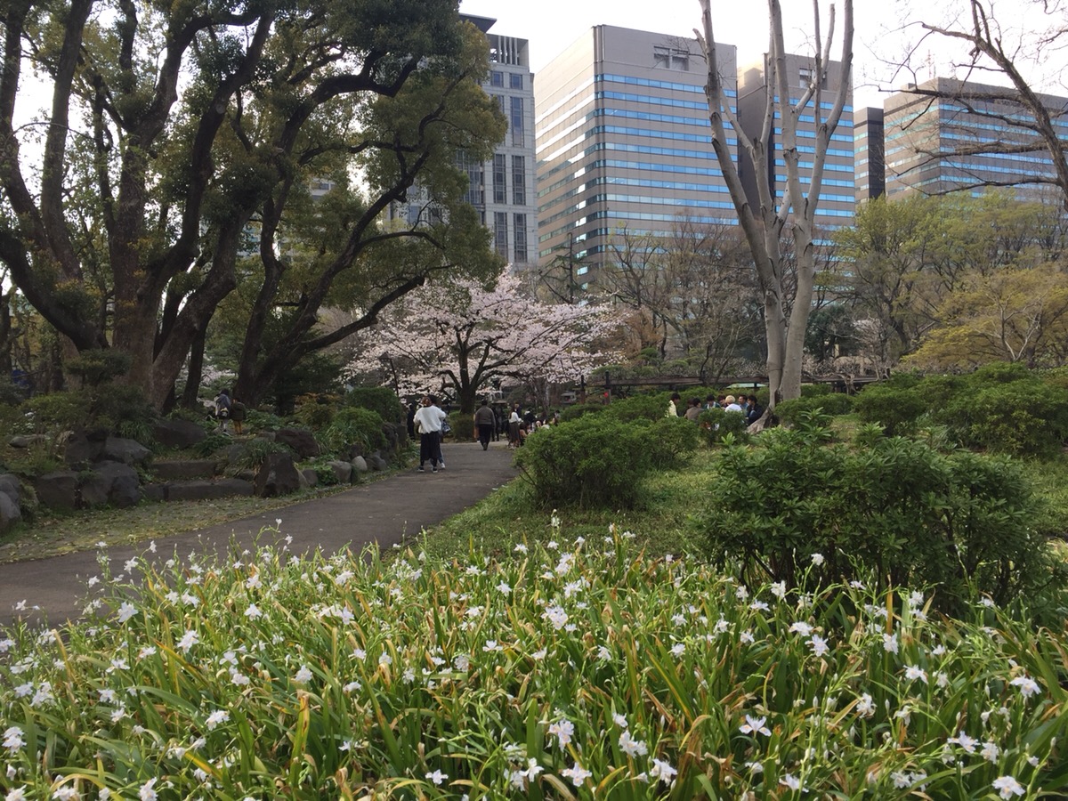 【スタッフブログ】公園をお散歩♪